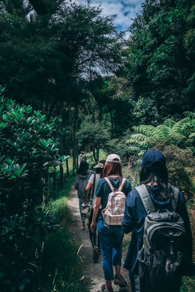 pexels-photo-917510 Women hiking along a scenic forest trail, enjoying nature and exploration.